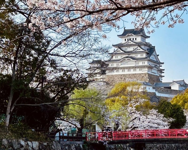姫路城と桜